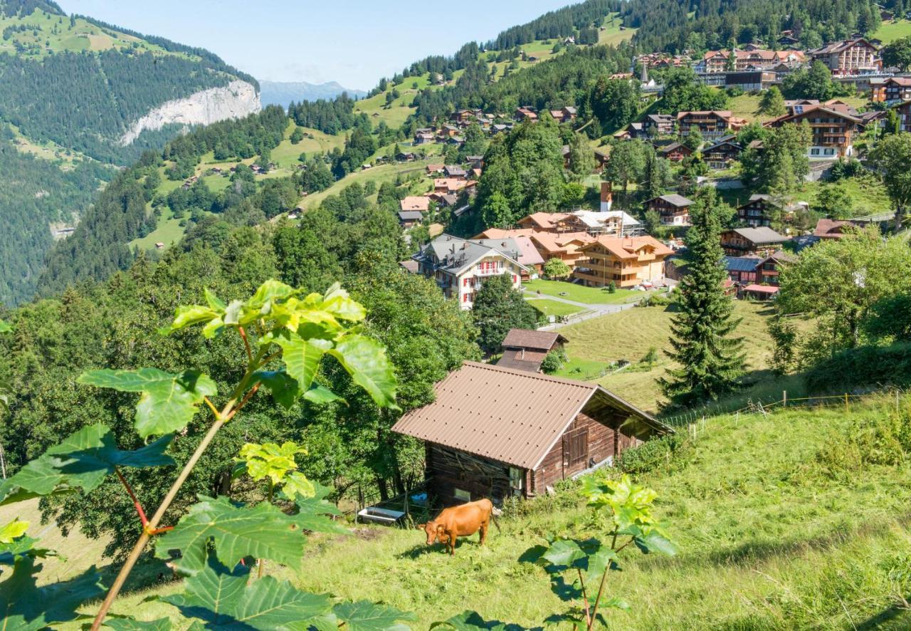 Panoramapark Soleil Chalet E Wengen Luaran gambar